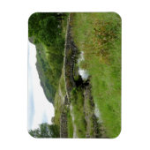 Packhorse Bridge in Watendlath Magneet (Verticaal)