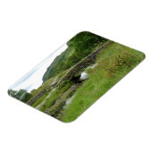 Packhorse Bridge in Watendlath Magneet (Linkerzijde)