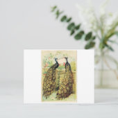 packs briefkaart (Staand voorkant)