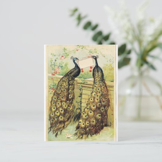  packs briefkaart (Staand voorkant)