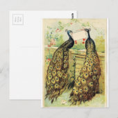 packs briefkaart (Voorkant / Achterkant)