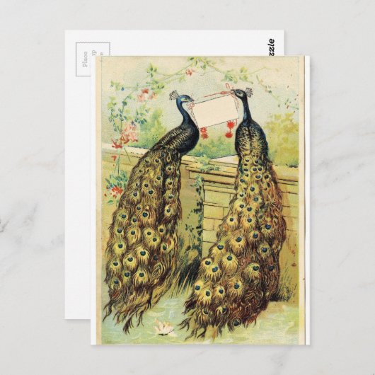  packs briefkaart (Voorkant / Achterkant)