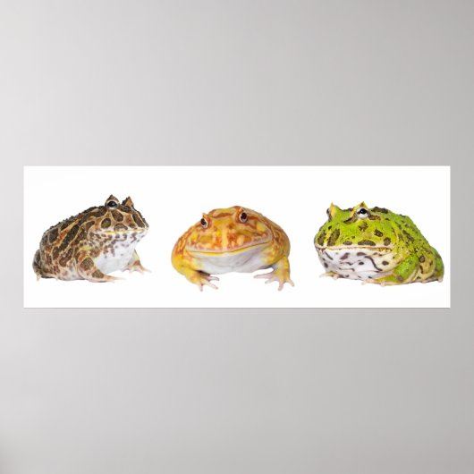 Pacman Poster Panorama (Voorkant)