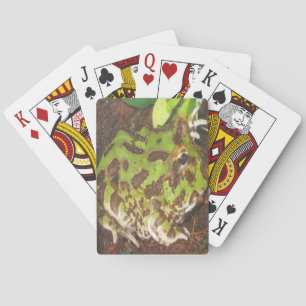 Pacmankikkervisjes Speelkaarten