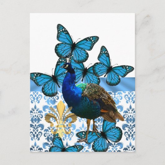 pacock en blauwe vlinders briefkaart (Voorkant)