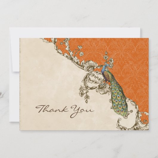 pacock & etchings Dank u Kaarten nota neemt van Notitiekaartje (Achterkant)