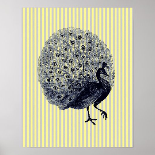  pacock op dunne strepen poster (Voorkant)
