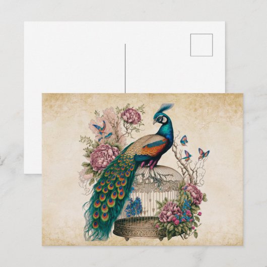  pacock over Victoriaans vogelkooi Briefkaart (Voorkant / Achterkant)