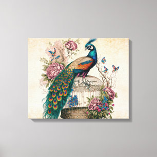 pacock over Victoriaans vogelkooi Canvas Afdruk