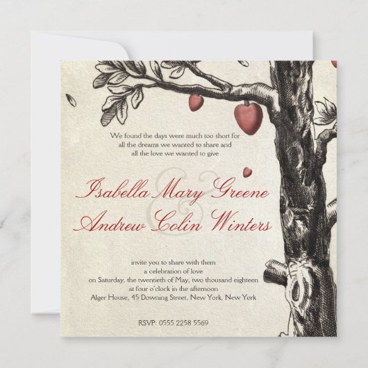 pacocks in de liefde - bruiloft kaart (Achterkant)