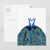  pacocks zogende Huwelijkscadeaus Briefkaart (Voorkant / Achterkant)