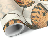 Pacocus-patroon met pansy vlinder cadeaupapier (Rol Hoek)