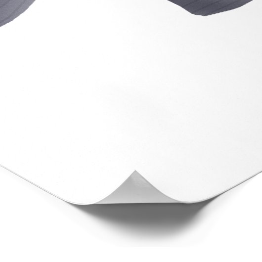 Pacu caranha  poster (Hoek)