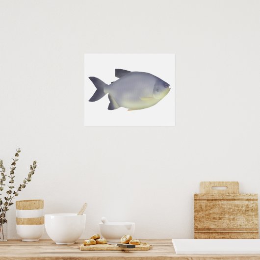 Pacu caranha  poster (Keuken)