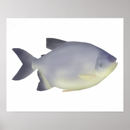 Pacu caranha  poster (Voorkant)