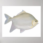 Pacu Murutinga Poster (Voorkant)