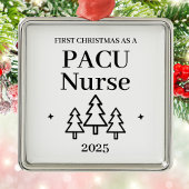 Pacu Verpleegster Kerstmis Metalen Ornament