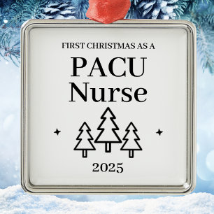Pacu Verpleegster Kerstmis Metalen Ornament