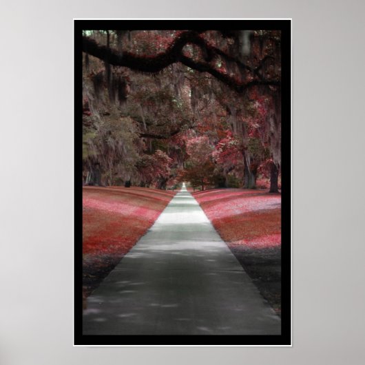 Pad afdrukken poster (Voorkant)