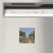 Pad door de appelbomen magneet (Insitu (Vaatwasser))