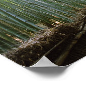 Pad door de Bamboe: Kyoto, Japan Poster (Hoek)