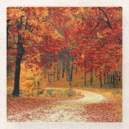 Pad door de bomen in het najaar glazen onderzetter (Voorkant)