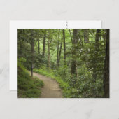 Pad door de Bossen Briefkaart (Voorkant / Achterkant)