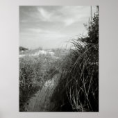 Pad door de Duinen Poster (Voorkant)