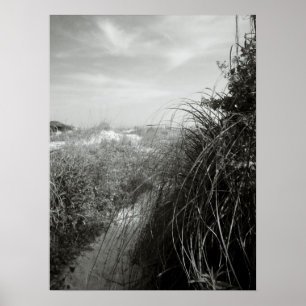 Pad door de Duinen Poster