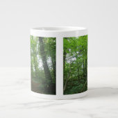 Pad door de Mok Groen bos (Voorkant)