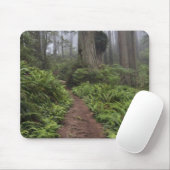 Pad door de reusachtige sequoia's gehuld 2 muismat (Met muis)