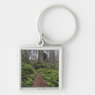 Pad door de reusachtige sequoia's gehuld 2 sleutelhanger
