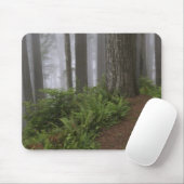 Pad door de reusachtige sequoia's gehuld muismat (Met muis)