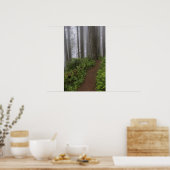 Pad door de reusachtige sequoia's gehuld poster (Keuken)