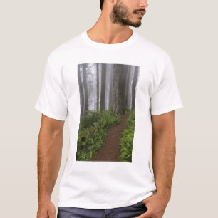 Pad door de reusachtige sequoia's gehuld t-shirt