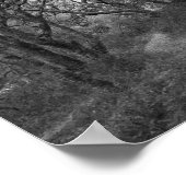 Pad door eikenboomgaard in Andrew Molera Poster (Hoek)