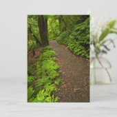 Pad door het bos bedankkaart (Staand voorkant)