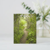 Pad door het bos briefkaart (Staand voorkant)