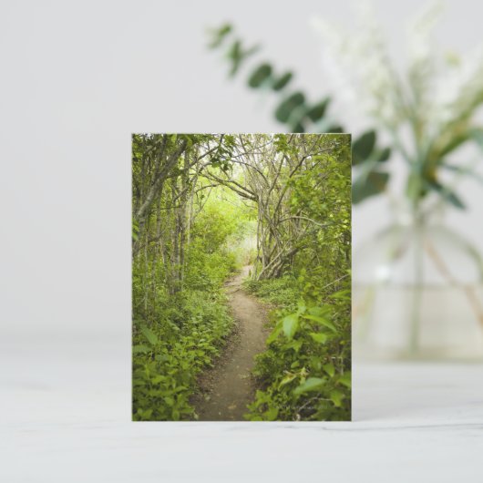 Pad door het bos briefkaart (Staand voorkant)