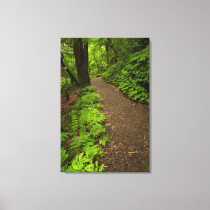 Pad door het bos canvas afdruk
