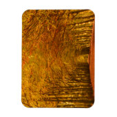 Pad door het bos in de herfst rechthoek magneet (Verticaal)