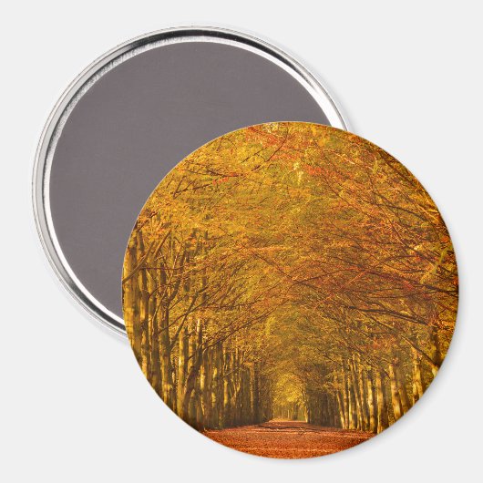 Pad door het bos in de herfst ronde magneet (Voorkant / Achterkant)