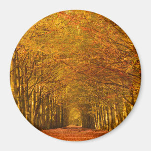 Pad door het bos in de herfstronde magneet