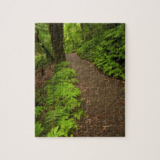 Pad door het bos legpuzzel (Verticaal)