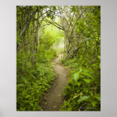 Pad door het bos poster (Voorkant)