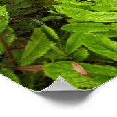 Pad door het bos poster (Hoek)