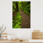 Pad door het bos poster (Keuken)