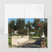 Pad door het Briefkaart Park (Voorkant / Achterkant)