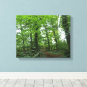 Pad door het groene bos Canvasprint Canvas Afdruk (Insitu (Houten vloer))