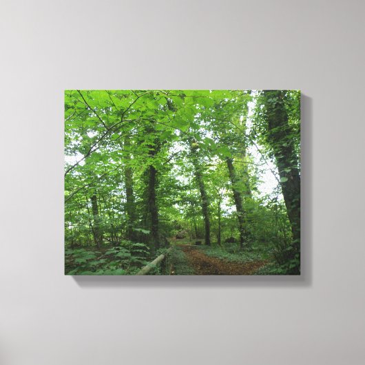 Pad door het groene bos Canvasprint Canvas Afdruk (Voorkant)